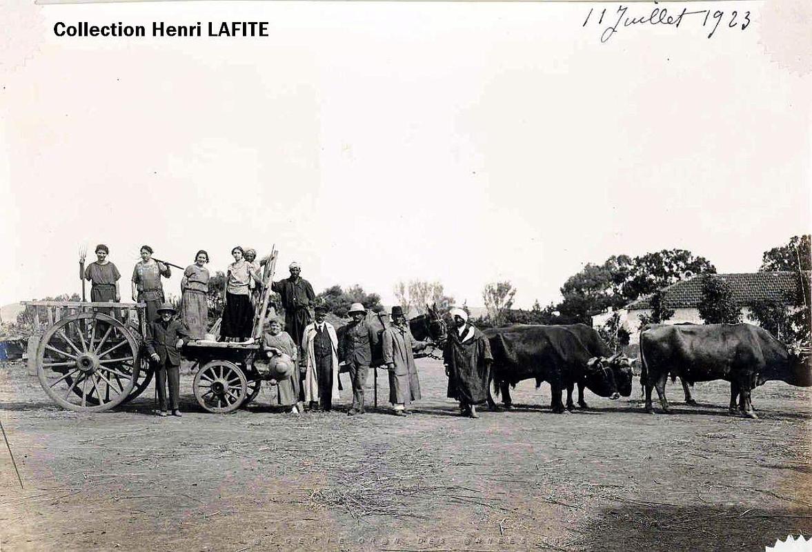 Oran- SDV- 2070- Lafite.jpg